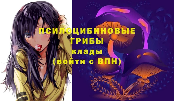 бошки Медвежьегорск