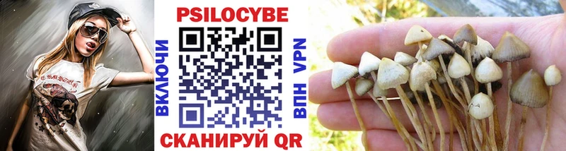 Галлюциногенные грибы Psilocybine cubensis  ОМГ ОМГ маркетплейс  Красный Холм 